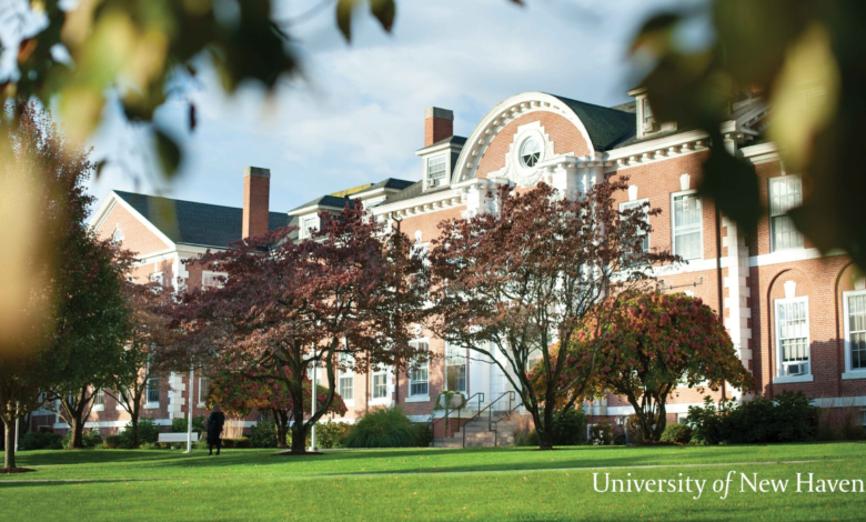 university of New Haven