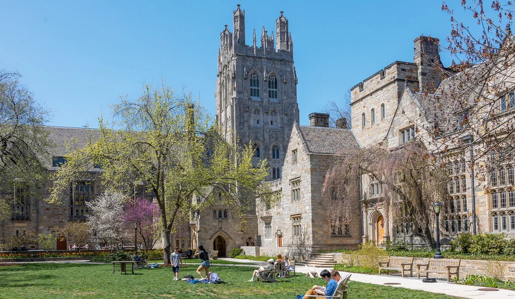 Fully funded Yale University scholarships 2024 [How to apply] Sure